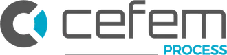 CEFEM Process